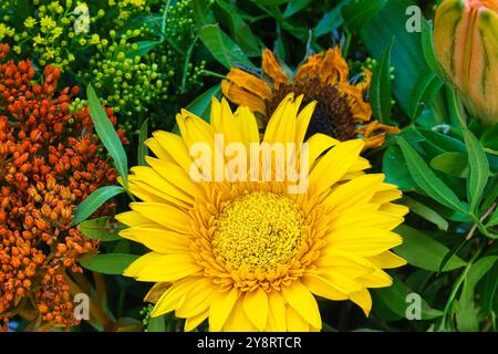 Blüte einer hellgelben Sonnenblume in einem bunten Blumenstrauß, Deutschland. Stockfoto