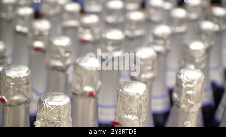 Die Aussicht mit einer Bewegungskammer auf viele Weinflaschen, die in der Fabrik stehen, steht bereit für den Verkauf. Die Reihen der Glasflaschen aus der Sammlung von Rot Stockfoto