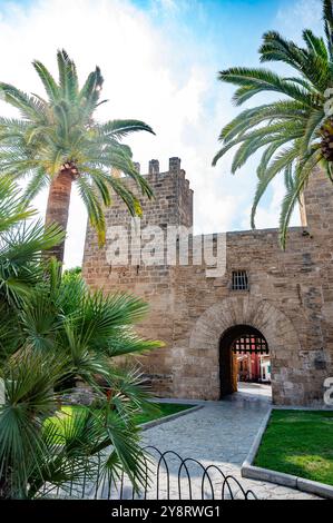 Alcudia, Mallorca Porta del Moll mit Palmen vor dem Sonnenstrahl, vertikaler Schuss, mallorca Stockfoto