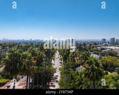 Luftaufnahme der von Palm Tree gesäumten Straße und Skyline in Los Angeles Stockfoto