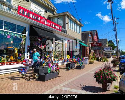 USA, New Hampshire, North Conway, Main Street, The Penguin Shop, Unternehmen, Geschäfte, Restaurants, Unterhaltung, Park, Eisenbahn, Stockfoto