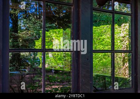 Fenster im rustikalen Picknickpavillon, erbaut 1935 vom Civilian Conservation Corps im Millersylvanien State Park, Washington State, USA Stockfoto