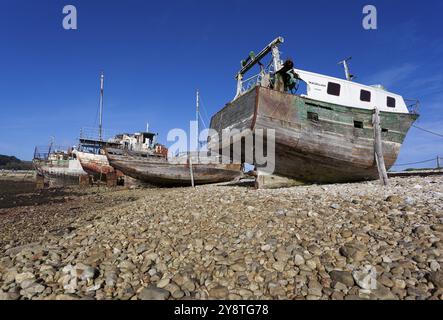 Hafen von Camaret-sur-Mer, Bretagne, Frankreich, Europa Stockfoto