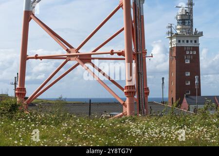 Leuchtturm auf dem Oberland der vorgelagerten Insel Helgoland, Backsteinbau, Gerüst des Funkturms, Sonnenschein, blühende Blumen, Nord S Stockfoto