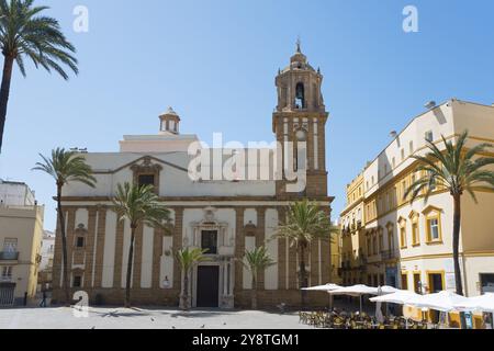 Historische Kathedrale mit Palmen auf einem sonnigen Platz unter blauem Himmel, Iglesia de Santiago Apostol, Apostol, Kirche St. James, Plaza de la Catedral Stockfoto