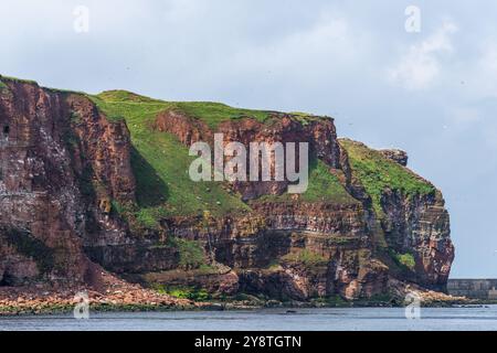 Rote Sandsteinklippe auf der vor der Küste gelegenen Insel Helgoland, Nordsee, Landkreis Pinneberg, Schleswig-Holstein, Deutschland, Europa Stockfoto