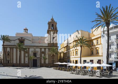 Historische Kathedrale auf einem sonnigen Platz mit Palmen und blauem Himmel, Iglesia de Santiago Apostol, Apostol, Kirche St. James, Plaza de la Catedral, Ol Stockfoto