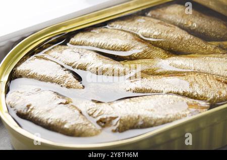 In der Dose aus Räucherfisch in gerade geöffneter Dose. Nicht verderbliche Lebensmittel Stockfoto