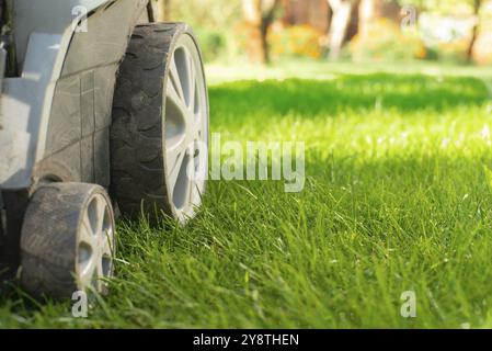 Rasenmäher auf Gras Nahaufnahme. Rasenpflege-Konzept. Speicherplatz kopieren Stockfoto