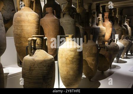 Comacchio, Italien, 11. Juni 2024, Inneres des Delta Antique Museums. Mediterrane Amphoren. Italischer und griechischer Wein- und Ölbehälter, Europa Stockfoto