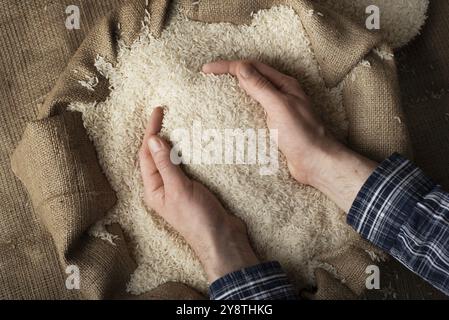 Menschliche Hände halten eine Hand voll Reis über einem Leinensack Stockfoto