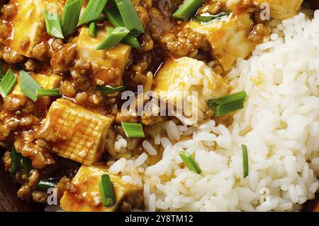 Authentische traditionelle chinesische Küche Mapo Tofu Gericht mit Schweinefleisch Schnittlauch und gedünstetem Reis Nahaufnahme Stockfoto