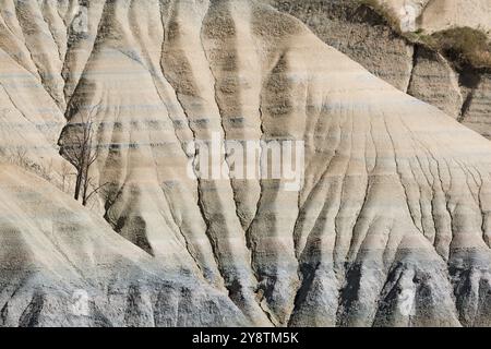 Le Ravin de Corboeuf, Rosieres, Haute Loire, Frankreich, Europa Stockfoto