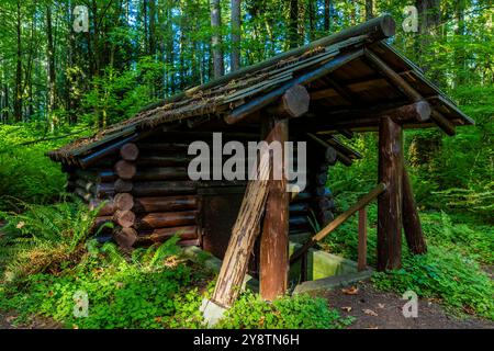 Ein Pumphaus im rustikalen Stil, das 1935 vom Civilian Conservation Corps im Millersylvanien State Park im US-Bundesstaat Washington erbaut wurde Stockfoto