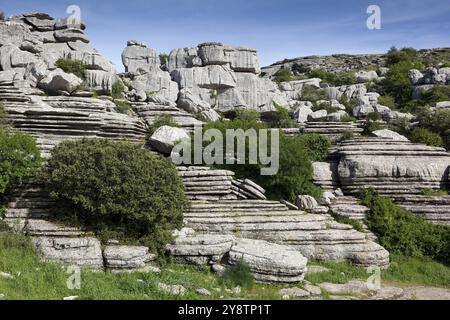 Blick auf den Torcal de Antequera, Malaga, Andalusien, Spanien, Europa Stockfoto