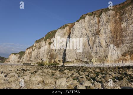 Klippen in Dieppe, Cote d'Albatre, Haute-Normandie, Frankreich, Europa Stockfoto