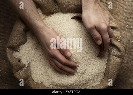 Menschliche Hände halten eine Hand voll Reis über einem Leinensack Stockfoto