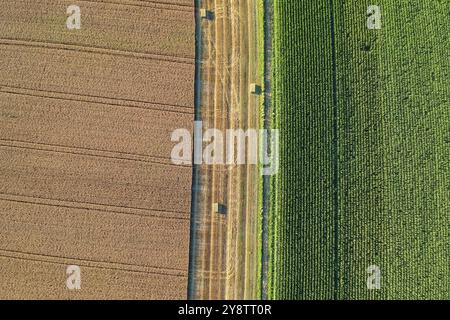 Landwirtschaftliches Feld gesehen von oben durch eine Drohne Stockfoto