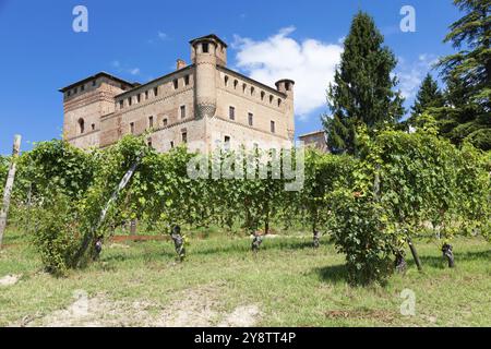 Weinberg in der Region Piemont, Italien, mit Schloss Grinzane Cavour im Hintergrund. Das Langhe ist das Weinviertel von Barolo, Europa Stockfoto