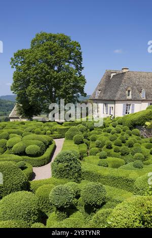 Gärten von Marqueyssac, Vezac, Dordogne, Nouevelle Aquitaine, Frankreich, Europa Stockfoto