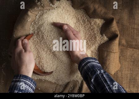 Menschliche Hände halten eine Hand voll Reis über einem Leinensack Stockfoto