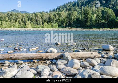 Faszinierender Blick auf den Vedder River, der sich durch Chilliwack, British C, Olumnbia, Kanada schlängelt Stockfoto