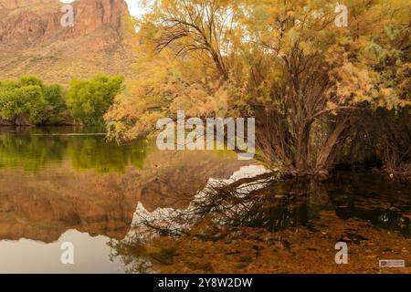 Sonnenaufgang Am Fluss Stockfoto