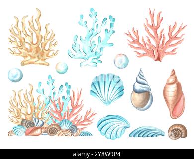 Unterwasser-Dekorkollektion mit Korallen und Muscheln. Satz handgezeichneter Aquarellbilder isoliert. Mediterranes und tropisches Meer. Clipart Stockfoto