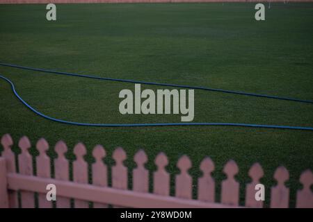 Ein dunkelgrüner Schlauch auf dem perfekt gepflegten Rasen auf dem Cricket Oval im Rushcutters Bay Park mit dem weißen Streifenzaun, rosa im Abendlicht Stockfoto