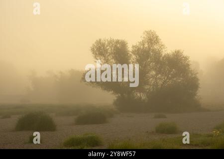 Morgennebel über dem Edersee im deutschen Dorf Rehbach Stockfoto