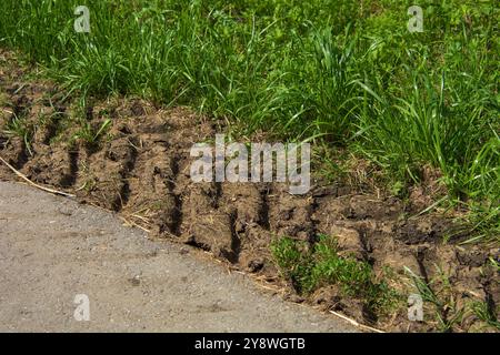 Lassen Sie die Raupenketten des Traktors auf dem nassen und schlammigen Boden Stockfoto