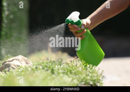 Nahaufnahme einer Frau, die Insektizid über Pflanzen in einem Garten sprüht Stockfoto