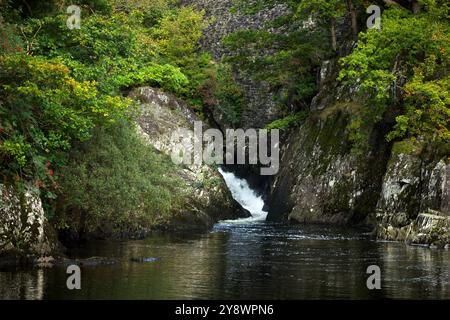 Cyfyng Falls liegt am Fluss Llugwy in der Nähe des Dorfes Pont Cyfyng in Snowdonia. Es liegt an der Straße zwischen Betwys y Coed und Bethesda (A5). Stockfoto