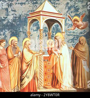 GIOTTO di Bondone (* 1267, Vespignano, d. 1337, Firenze) Nr. 19 Szenen aus dem Leben Christi: 3. Präsentation im Tempel 1304-06 Fresko, 200 x 185 cm Cappella Scrovegni (Arena Kapelle), Padua die fünf Szenen auf der rechten Wand stellen die Geburt, die Anbetung der Könige, die Präsentation im Tempel, den Flug nach Ägypten und das Massaker der Unschuldigen dar. Der Tempel in dieser Szene ist der gleiche wie der, der in der Vertreibung Joachims aus dem Tempel und der Darstellung der Jungfrau im Tempel erscheint, aber diesmal sehen wir nur den Schrein über dem Altar. *** Taste Stockfoto