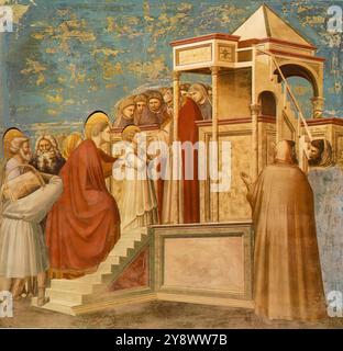 GIOTTO di Bondone (* 1267, Vespignano, d. 1337, Florenz) Nr. 8 Szenen aus dem Leben der Jungfrau: 2. Darstellung der Jungfrau im Tempel 1304-06 Fresko, 200 x 185 cm Cappella Scrovegni (Arena Kapelle), Padua in sechs Szenen, an der Wand gegenüber der mit Szenen von Joachim, der Geburt der Jungfrau, der Präsentation im Tempel und vier Episoden zu ihrer Ehe sind dargestellt. Diese Serie folgt dem Prinzip einer einzigen architektonischen Struktur. Die Darstellung der Jungfrau findet im selben Gebäude statt wie das in der Szene der Vertreibung von Joachim aus der Stockfoto