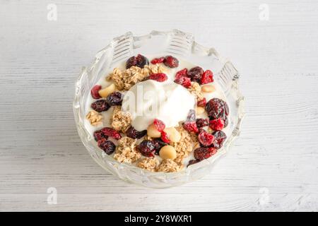 Schüssel griechischer Joghurt mit Pinienkernen Granola getrocknete Preiselbeeren und Rosinen das ideale gesunde moderne Frühstück. Stockfoto