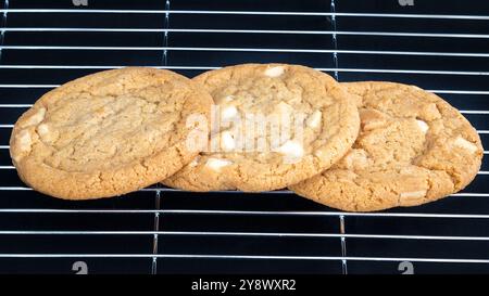 Weiße Schokoladenchips und Nusskekse Stockfoto