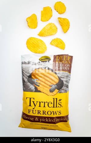 Terrell's Furrows Cheese und eingelegte Zwiebelchips Stockfoto