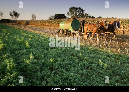 Amische Landwirt Gülle aus seiner Kühe auf einem Maisfeld, der vor kurzem auf seiner Farm in Oxford, Pennsylvania geerntet wurde die Verbreitung Stockfoto