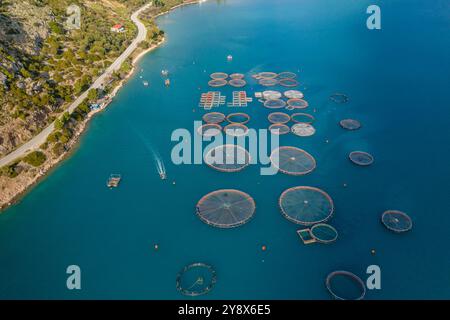 Drohnenblick auf schwimmende runde Fischfarmen auf dem Meer von Griechenland Stockfoto