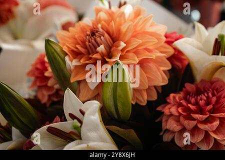 Dahlia und Lily blühen in Blüte Stockfoto