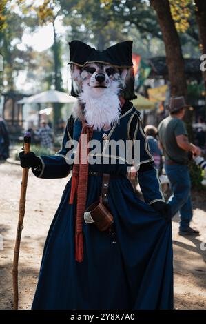 Mittelalterliches Texas Renaissance Festival Stockfoto