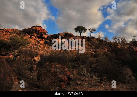 Mapungubwe Hill ist eine der bekanntesten frühesten Zivilisationen im südlichen Afrika und ein beliebtes Reiseziel für Forscher und Touristen Stockfoto