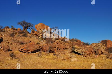 Mapungubwe Hill ist eine der bekanntesten frühesten Zivilisationen im südlichen Afrika und ein beliebtes Reiseziel für Forscher und Touristen Stockfoto