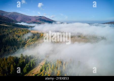 Atemberaubende Landschaft mit dichten Wäldern und sanften Hügeln, die teilweise von weichem, ätherischem Nebel umgeben sind. Leuchtende Herbstfarben von Bäumen stehen im Kontrast zum klaren blauen Himmel und den weit entfernten Berggipfeln. Stockfoto