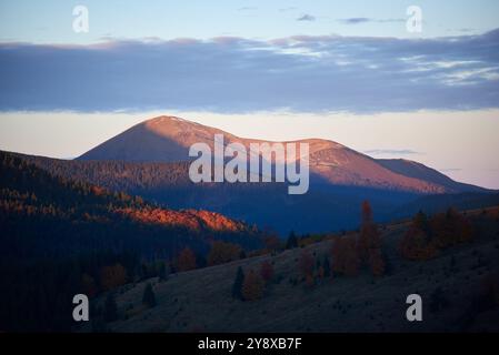 Der wunderschöne Sonnenaufgang wirft ein warmes, goldenes Licht über die Berglandschaft mit Herbstlaub. Die Gipfel werden sanft beleuchtet und bilden einen atemberaubenden Kontrast zu den Schatten des Waldes darunter. Hoverla, Ukraine Stockfoto