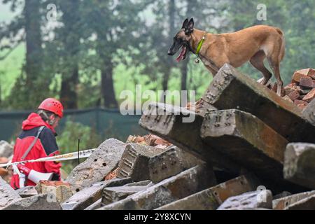 Breclav, Tschechische Republik. Oktober 2024. Zweitägige Meisterschaft der Rettungshunde der Vereinigung der Rettungsbrigaden der Cynologen der Tschechischen Republik in Breclav, 6. Oktober 2024. Quelle: Vaclav Salek/CTK Photo/Alamy Live News Stockfoto