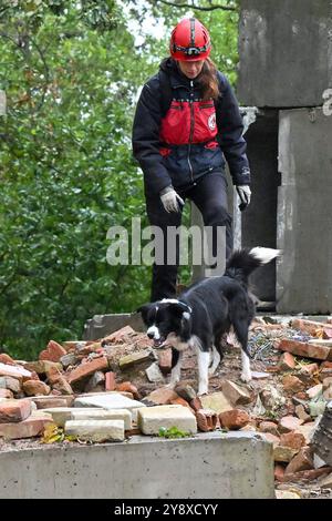 Breclav, Tschechische Republik. Oktober 2024. Zweitägige Meisterschaft der Rettungshunde der Vereinigung der Rettungsbrigaden der Cynologen der Tschechischen Republik in Breclav, 6. Oktober 2024. Quelle: Vaclav Salek/CTK Photo/Alamy Live News Stockfoto