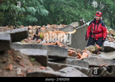 Breclav, Tschechische Republik. Oktober 2024. Zweitägige Meisterschaft der Rettungshunde der Vereinigung der Rettungsbrigaden der Cynologen der Tschechischen Republik in Breclav, 6. Oktober 2024. Quelle: Vaclav Salek/CTK Photo/Alamy Live News Stockfoto