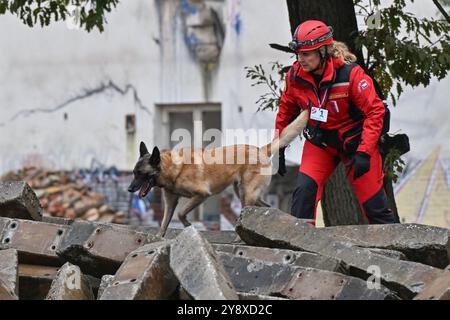 Breclav, Tschechische Republik. Oktober 2024. Zweitägige Meisterschaft der Rettungshunde der Vereinigung der Rettungsbrigaden der Cynologen der Tschechischen Republik in Breclav, 6. Oktober 2024. Quelle: Vaclav Salek/CTK Photo/Alamy Live News Stockfoto